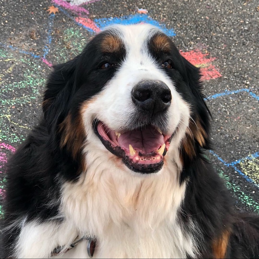 Meet your Posher, Mk